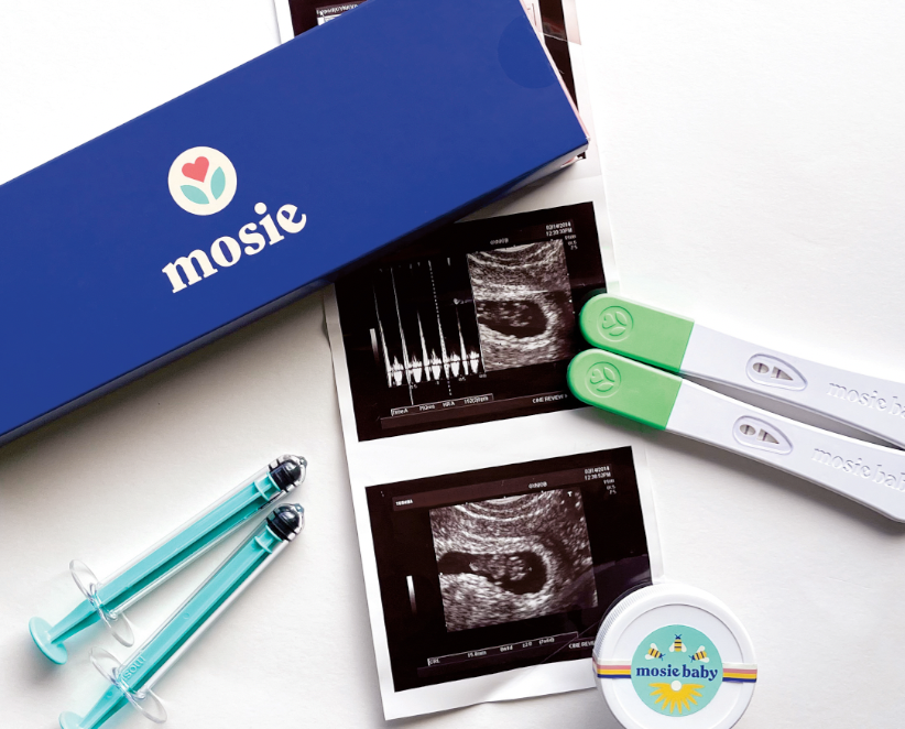 Mosie on display in Gates Foundation Museum