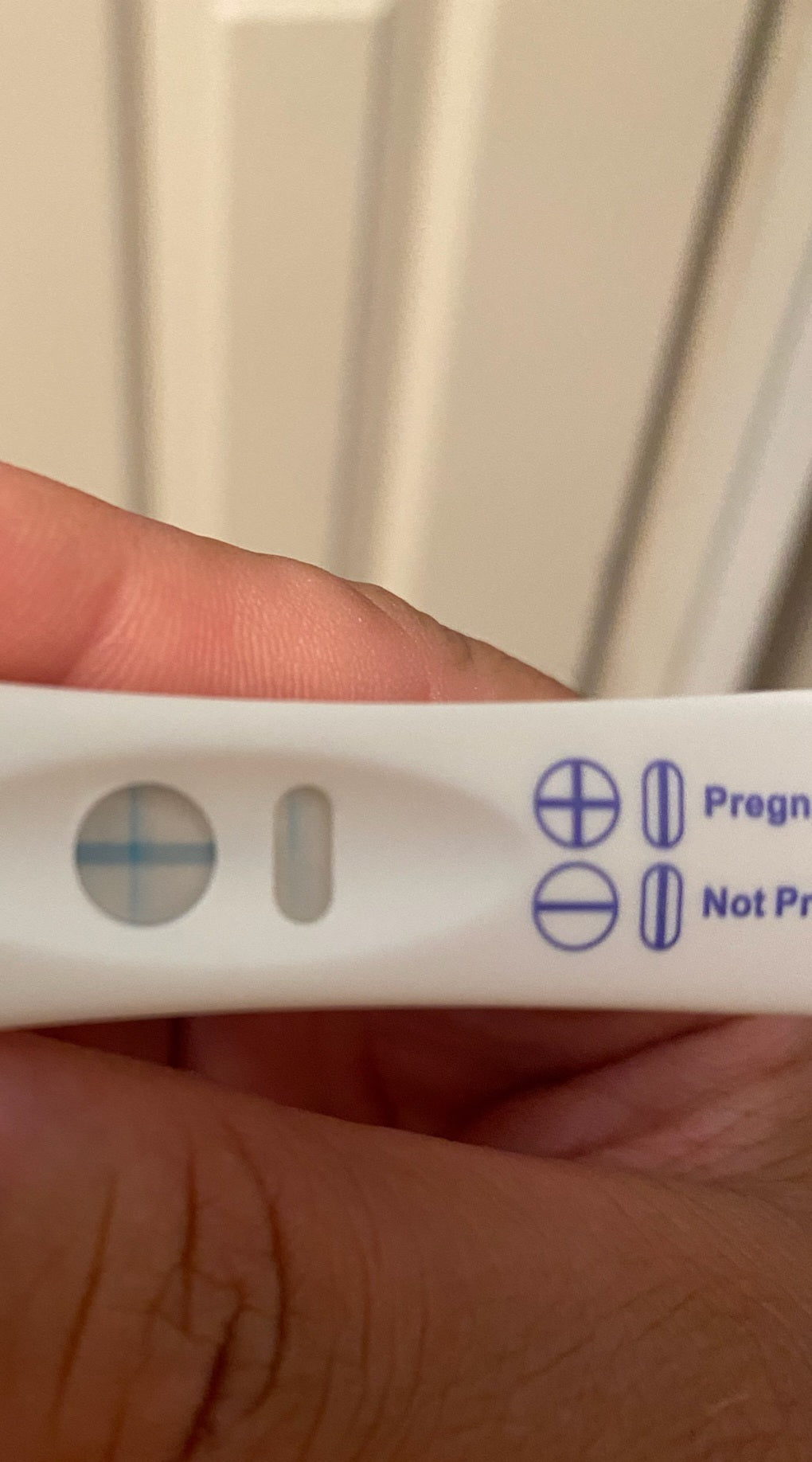 Pregnancy Test