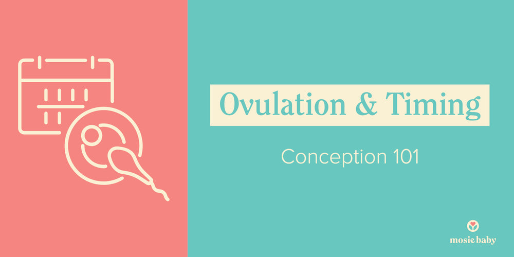 ovulation and timing, conception 101 graphic