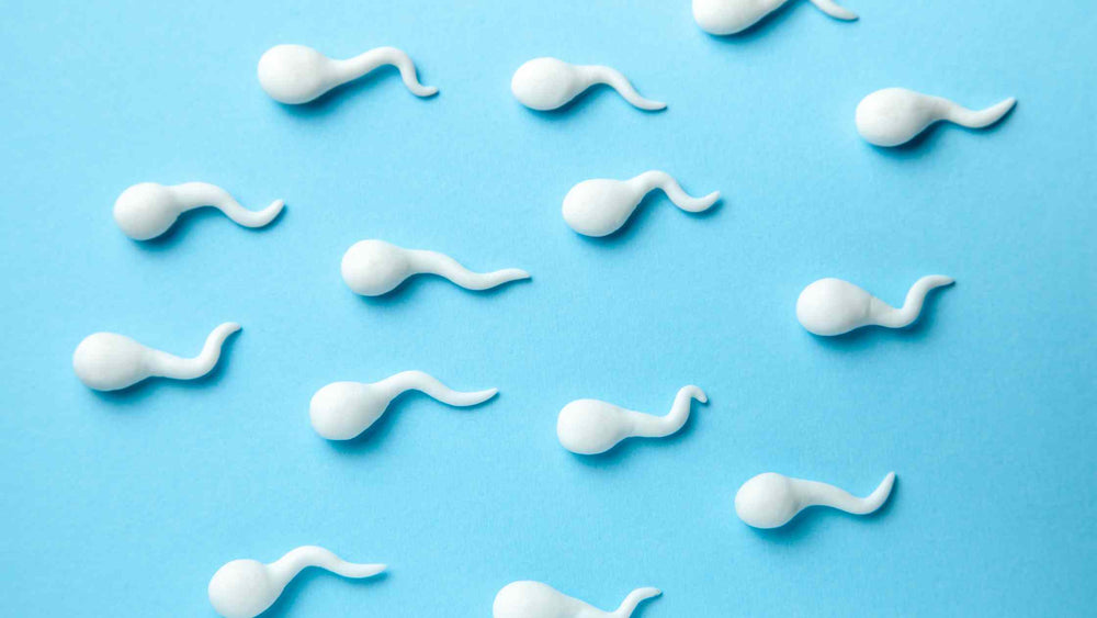 What to Know About Male Fertility Testing